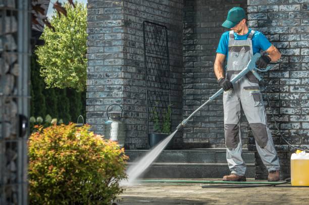 Best Roof Washing  in Zapata, TX